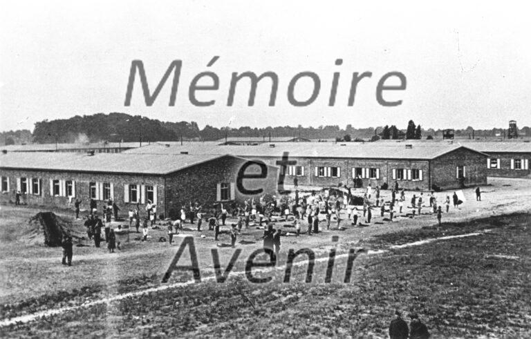 1940-Gymnastique-Vue-densemble