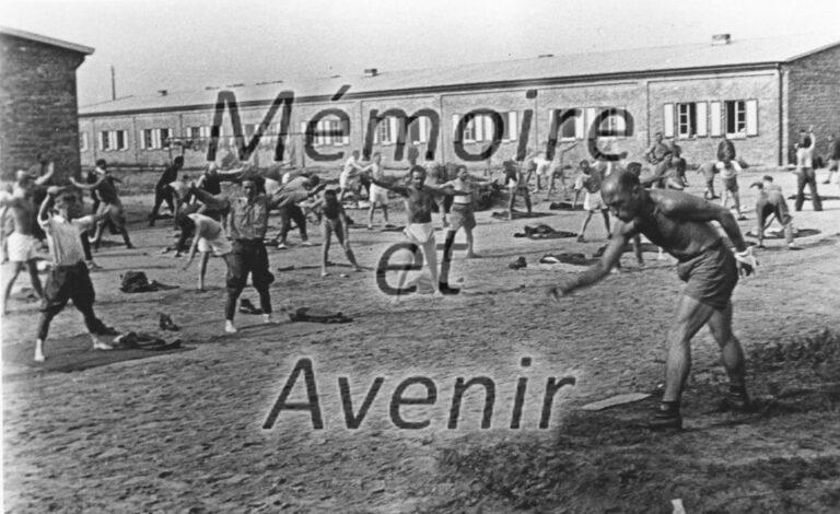 1940-Gymnastique-avec-Bonnard