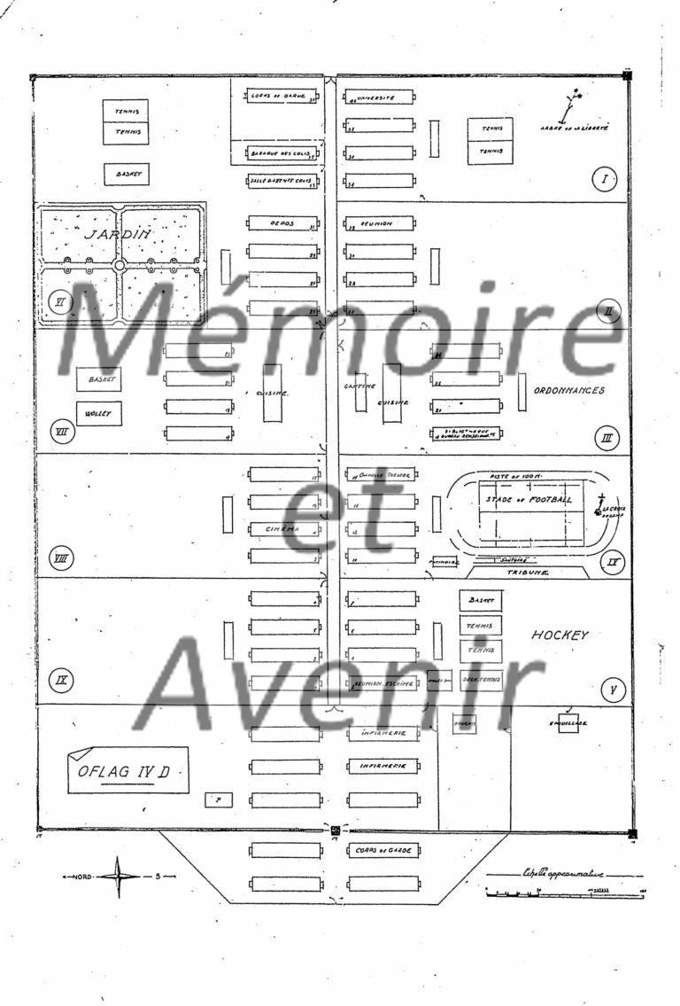 1941-11-IVD-Conference-activite-24