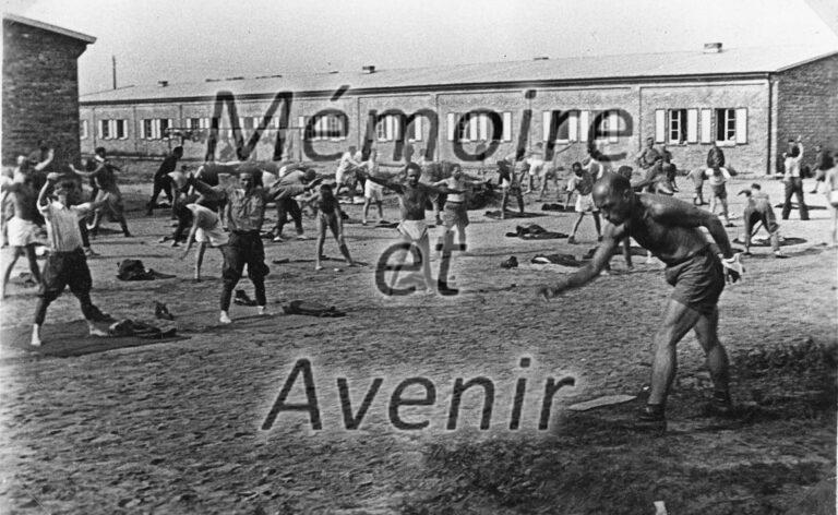 22-1940-Gymnastique-et-Bonnard-Album-Chaline-Scan-Blazy-2018