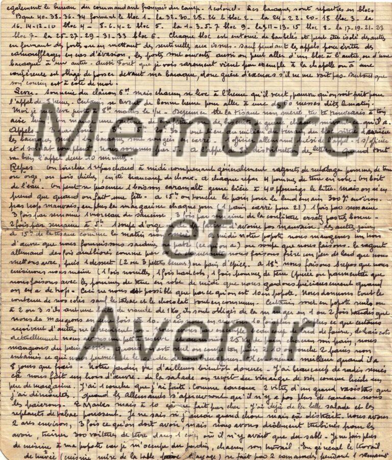 IVD-Morin014