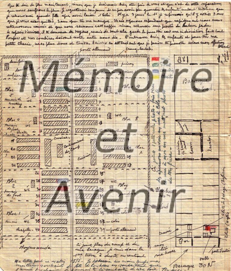 IVD-Morin017
