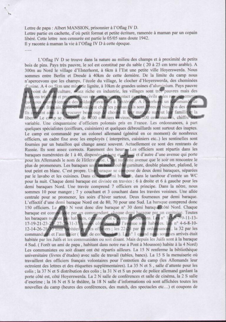 IVD-Morin018
