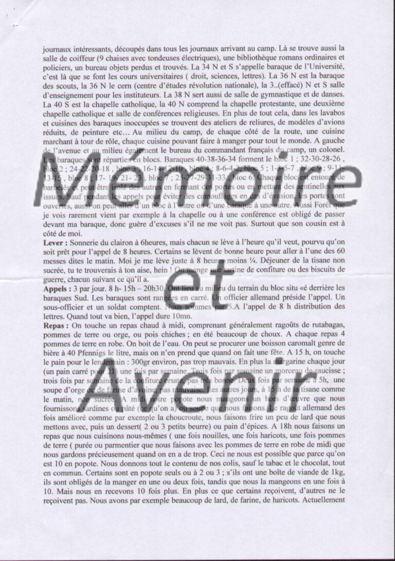 IVD-Morin019