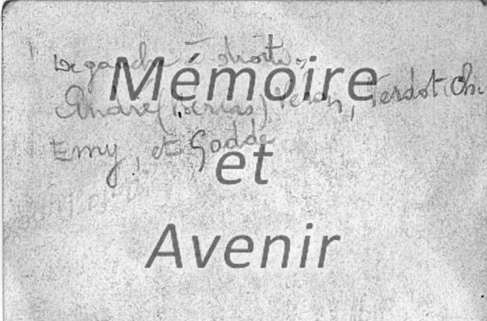 SD IVD Groupe Pomarède V