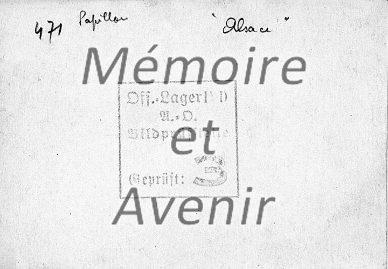 SD-IVD-Regions-Alsace-V