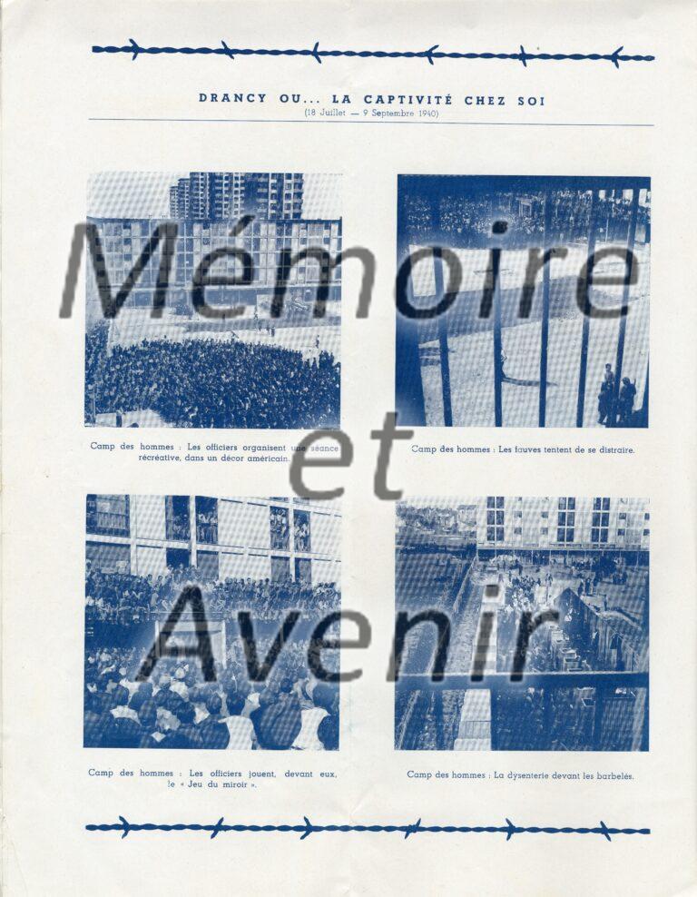 VIIIFbarbeles004