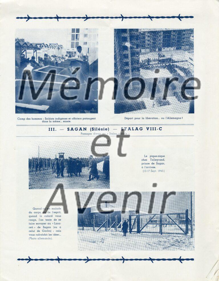 VIIIFbarbeles005
