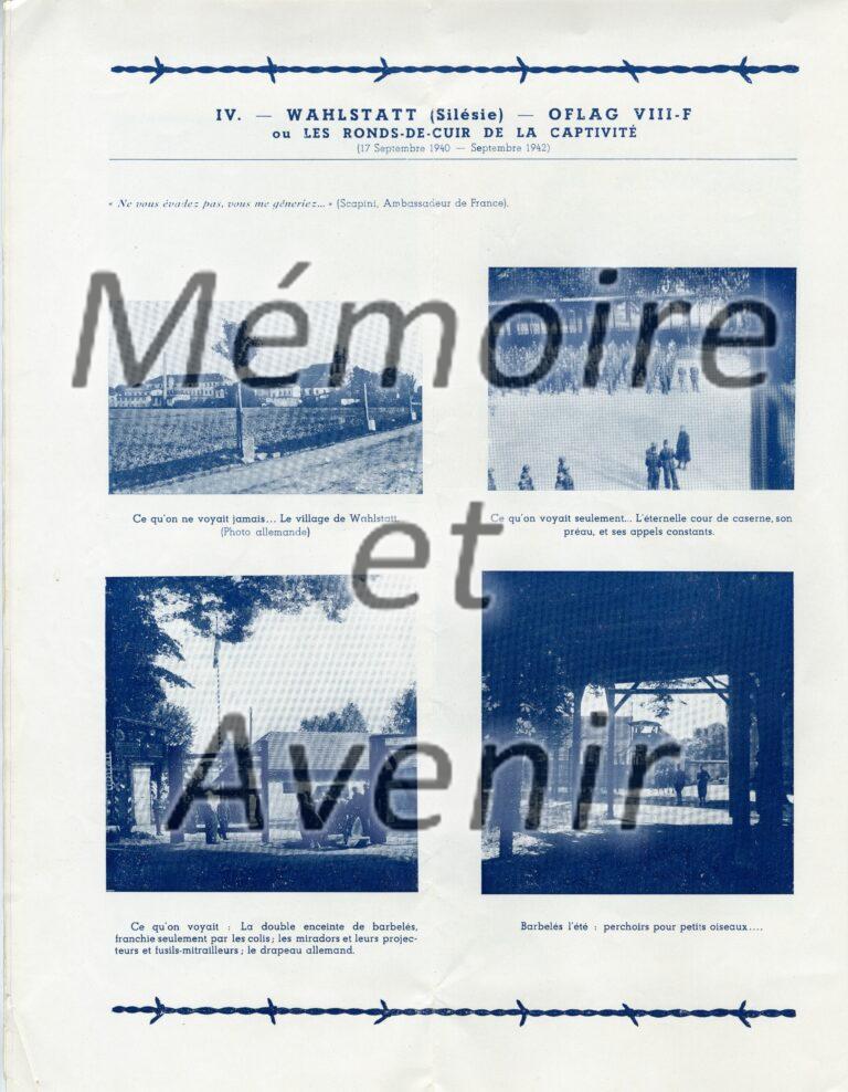 VIIIFbarbeles006