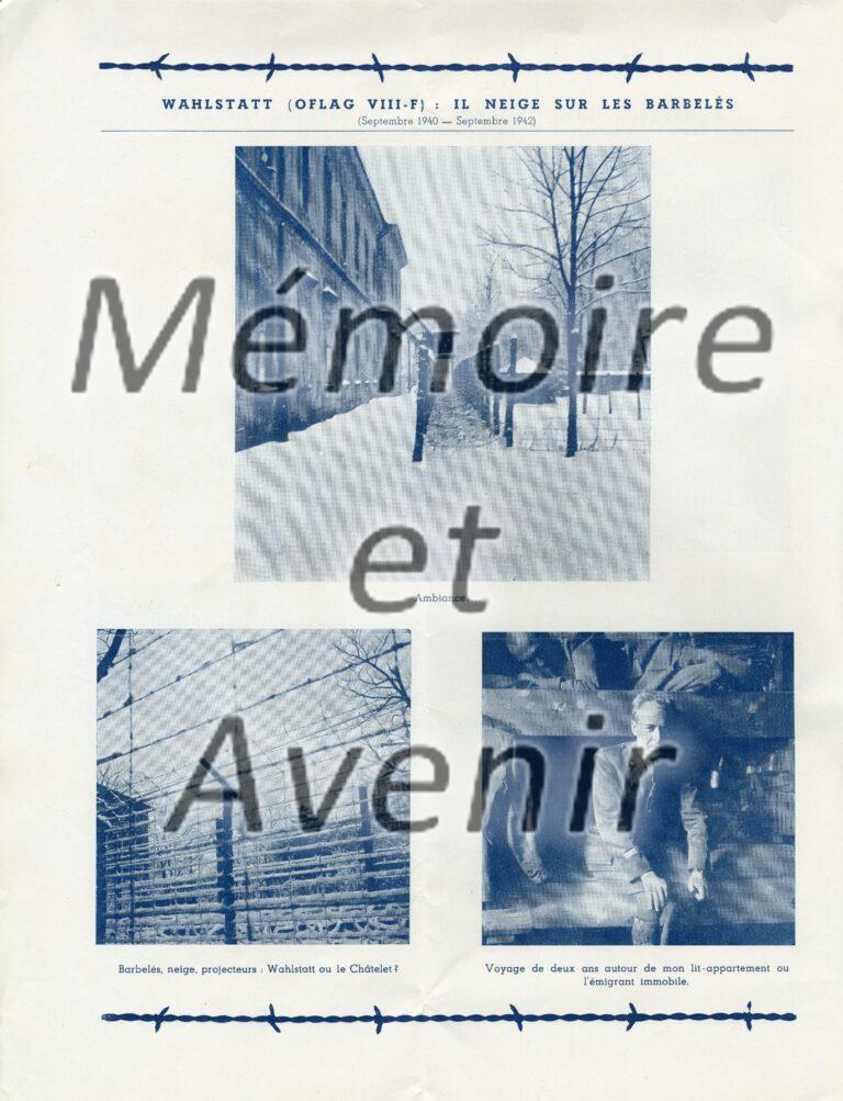 VIIIFbarbeles008