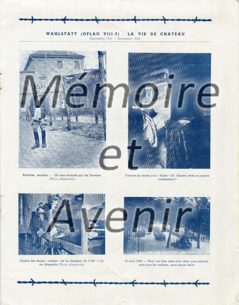 VIIIFbarbeles009