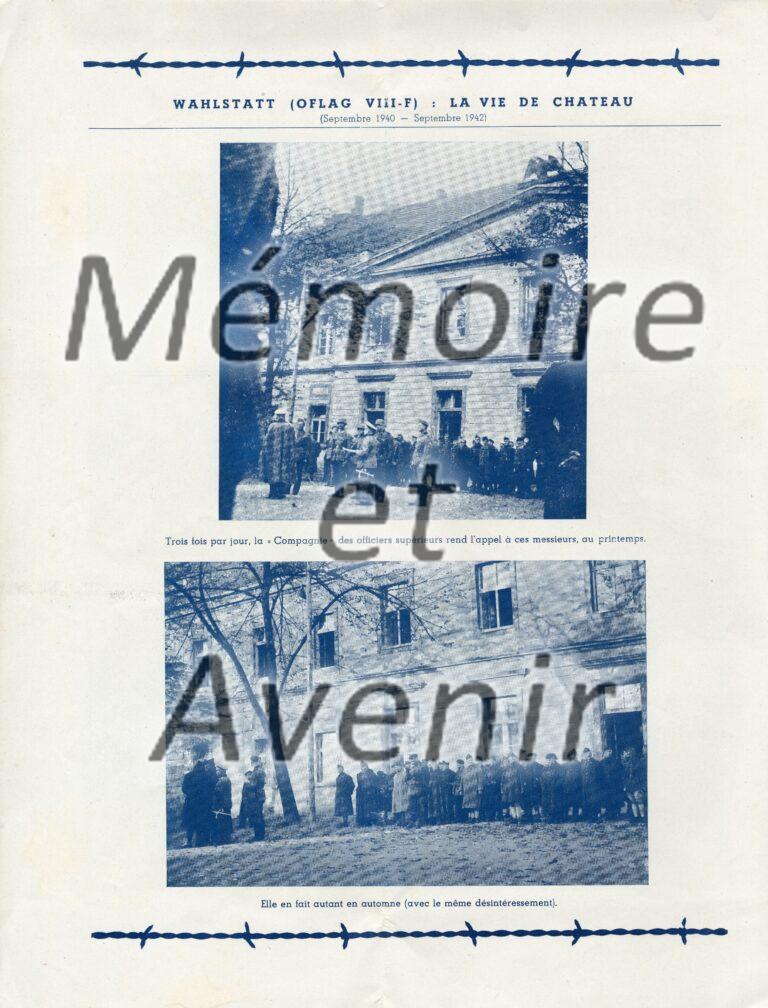 VIIIFbarbeles010