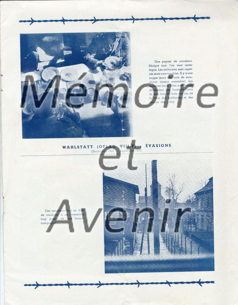 VIIIFbarbeles011