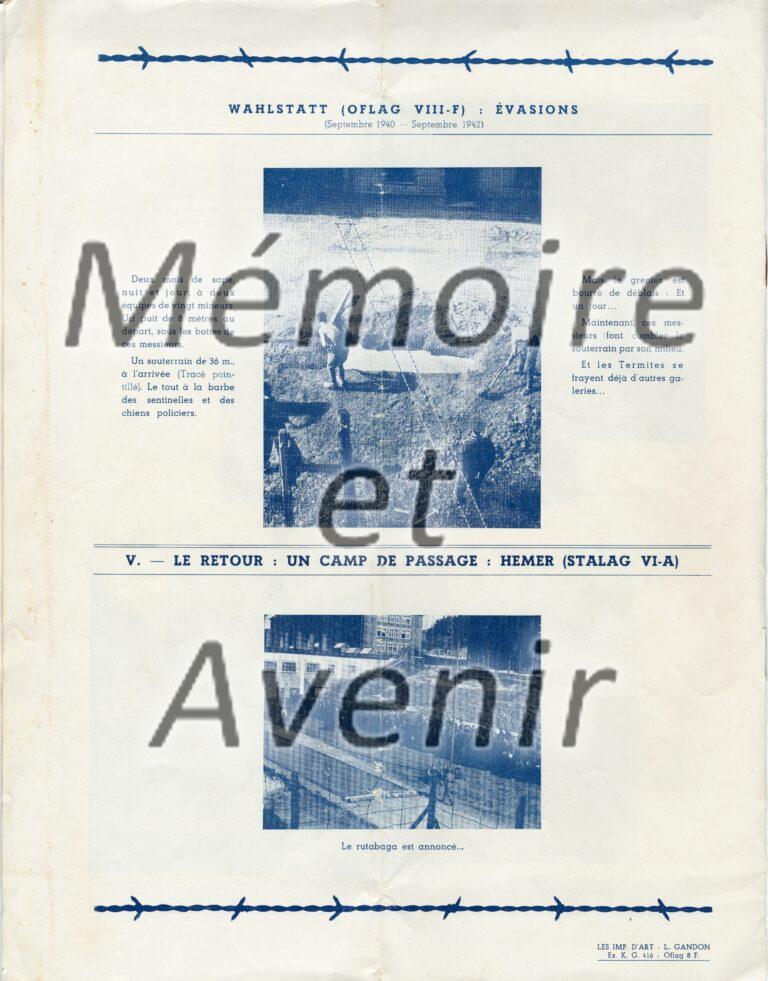VIIIFbarbeles012