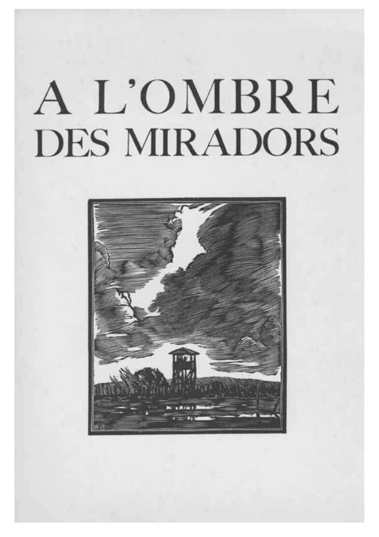 XB-ombre-miradors-01