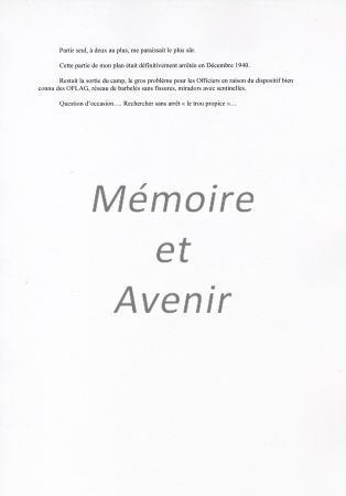 IVD-Monne019