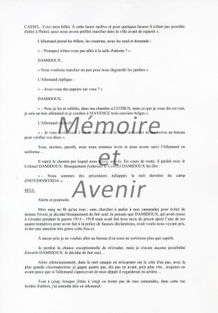 IVD-Monne029