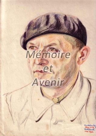 IVD-Morin010
