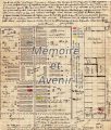 IVD-Morin017