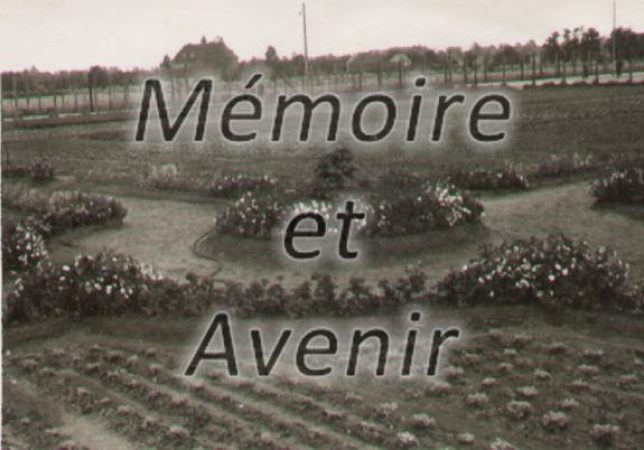 IVD-Puymoyen017