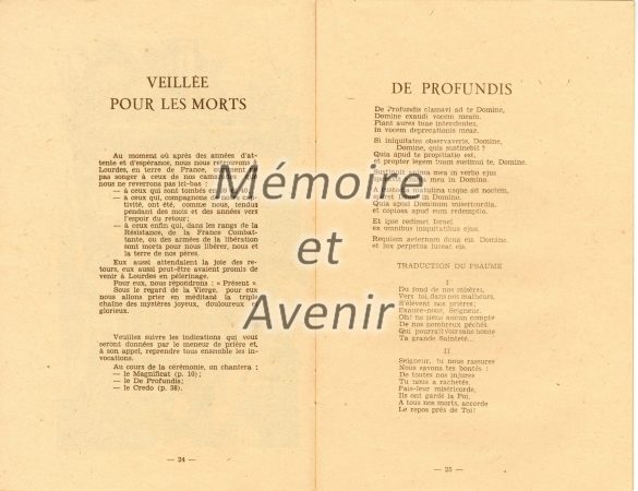 Lourdespelerinage028