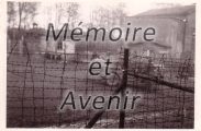 Michel026.jpg