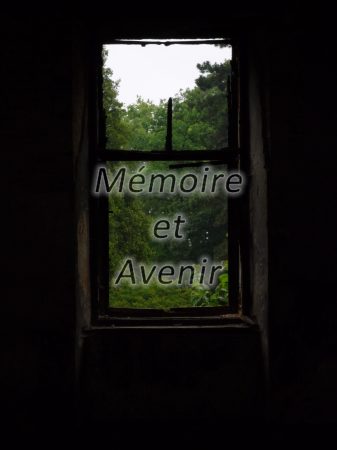 P1000535