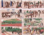VIIIF-Mahrish-Trubau-Montwy003