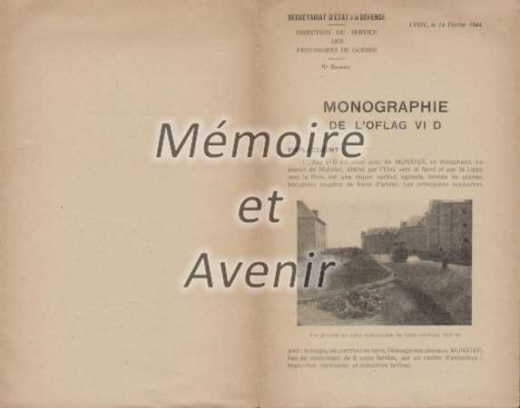 mono011